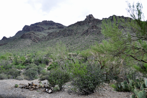 lunch view for the two RV Gypsies