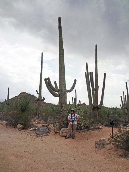 Karen Duquette b a big Saguaro Cactus