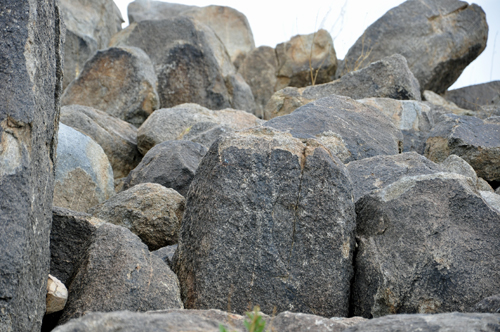 Petroglyphs 