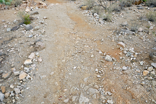 the easy Signal Hill Trail