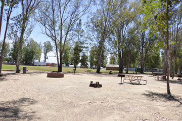 The two RV Gypsies' yard in Menifee