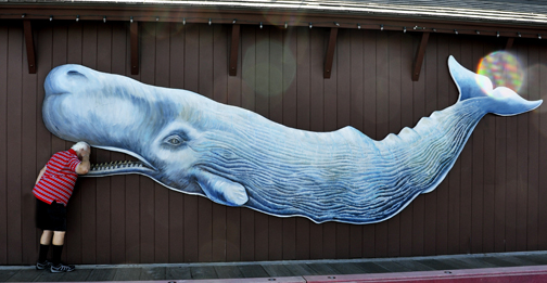 Lee Duquette looking inside the whale's mouth