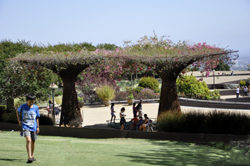 Almost to the Central Garden