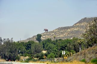 a giant mammoth on a hill