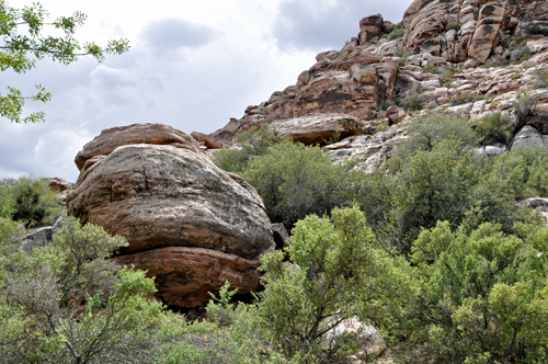 a rock dune