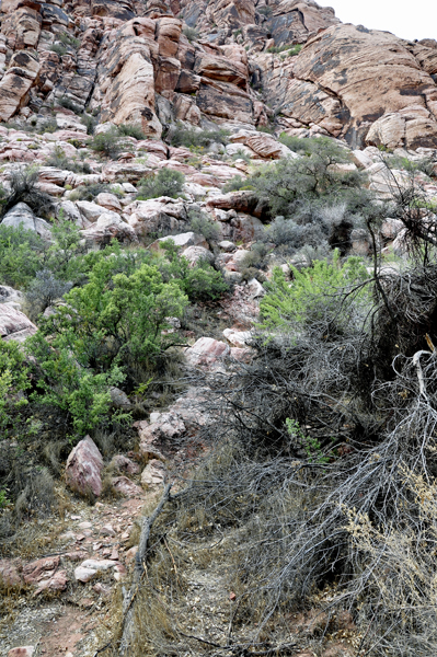 where the ancient spring once flowed at Red Spring