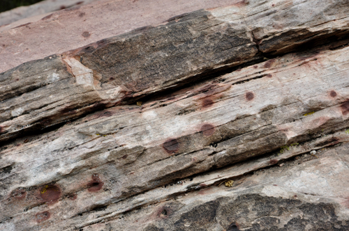 close-up of a chicken pox rock