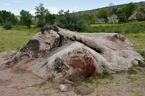 rock embedded in the field