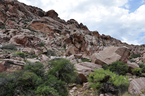 fallen rocks