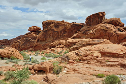 Beehives at Valley of Fire State Park