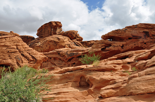 Beehives at Valley of Fire State Park