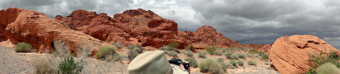 Beehives at Valley of Fire State Park