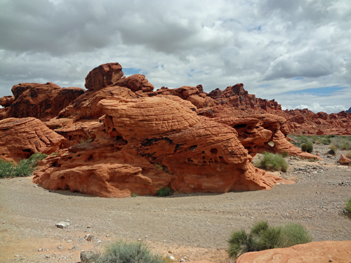 Beehives at Valley of Fire State Park