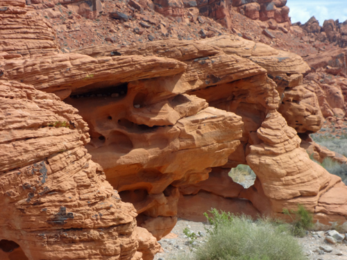 Beehives at Valley of Fire State Park