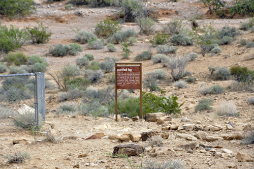 the only Petrified Log is screened in.