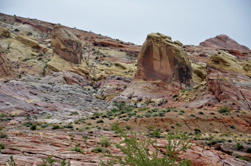 rain has really brought out the colors in the mountains.