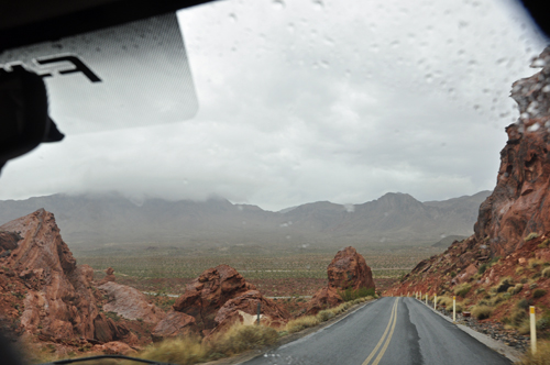 rainy day at the state park