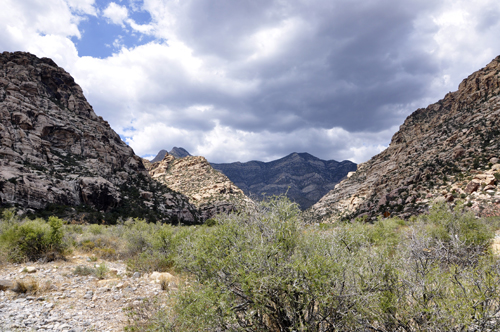 view from the lunch at the Willow Springs Picnic area