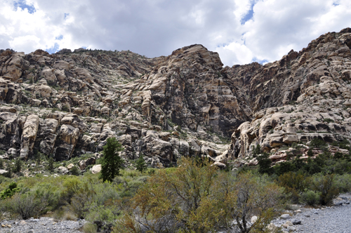 view from the lunch at the Willow Springs Picnic area