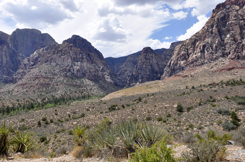 Pine Creek Canyon