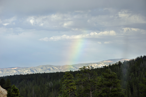 a small Rainbow