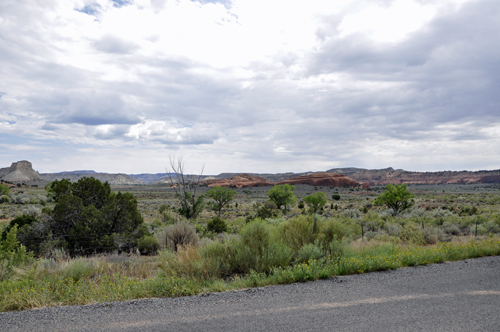 roadside scenery