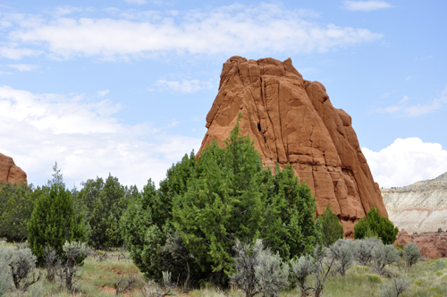 stone formation