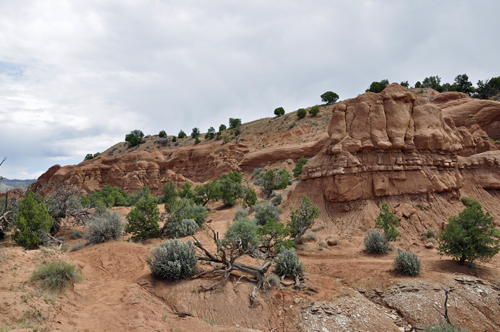 eerie sandstone hoodoos on the Shakespeare Arch trail.