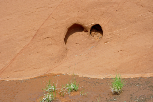 erosion on the sandstone shelf