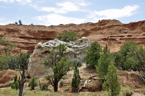 a big rock