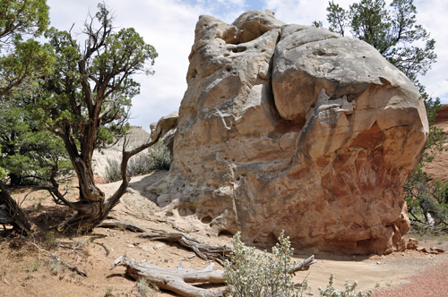 a big rock