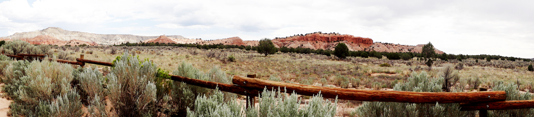 roadside scenery