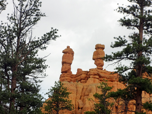 Red Canyon hoodoos