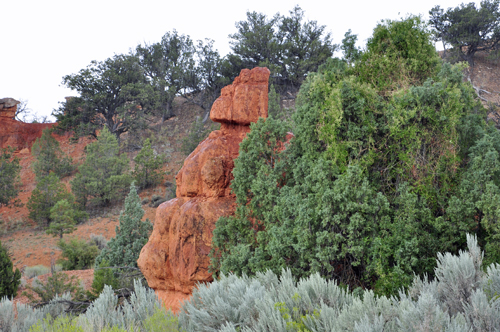 Red Canyon hoodoos