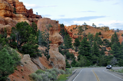 a spectacular oasis of rock