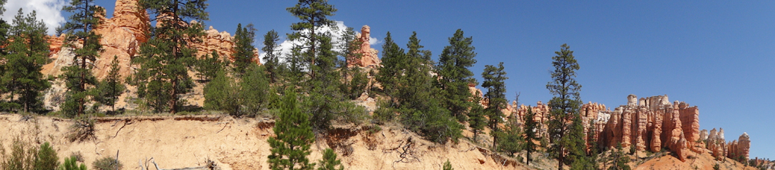 panorama of hoodoos at Mossy Cave trail