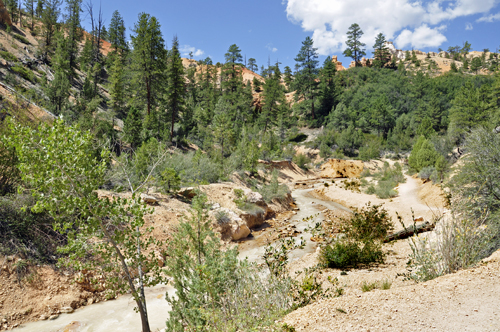 More views of the canal at the Mossy Cave trail