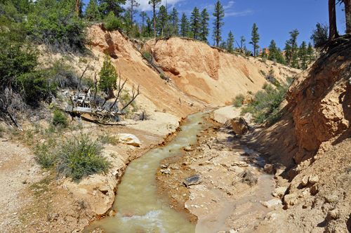 More views of the canal at the Mossy Cave trail