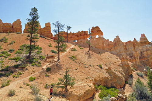 wall of hoodoos