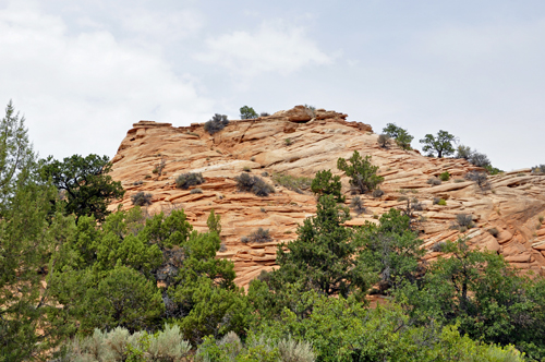 scenery on the Grand Staircse-Escalante