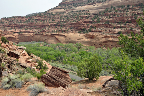 scenery on the Grand Staircse-Escalante