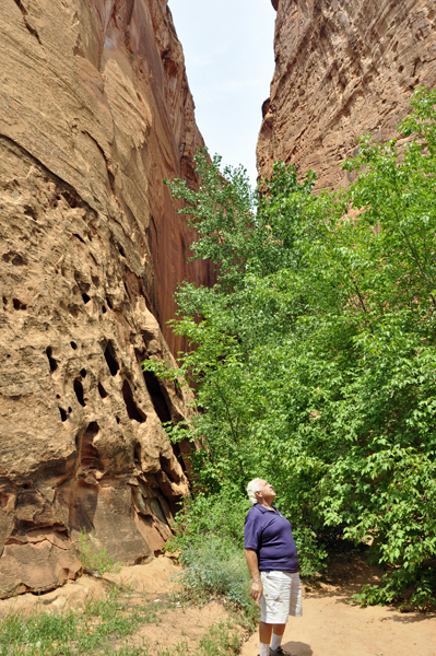 Lee Duquette admires a tall mountain