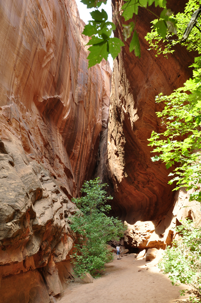 slot canyon on the Grand Staircase-Escalante