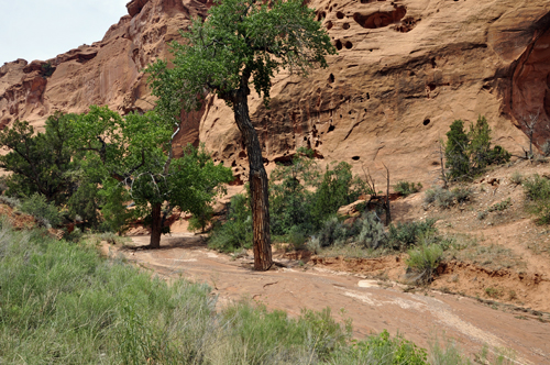 path toward a slot canyon