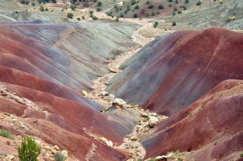 scenery on the Grand Staircase-Escalante