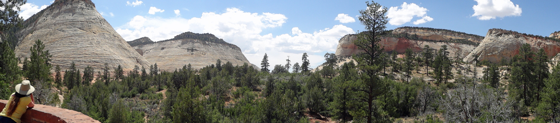 panorama of Checkerboard Mesa and Crazy Quilt Mesa