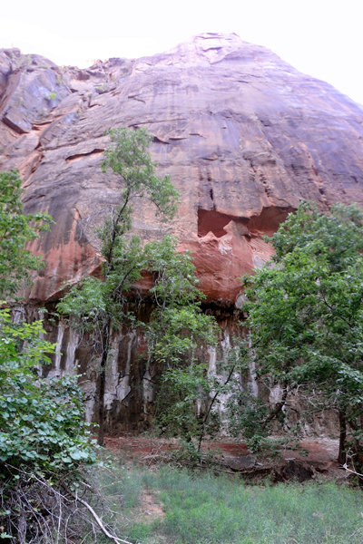 panorama of cliff at Zion National Park