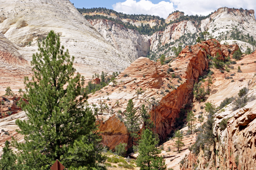 scenery at Zion National Park