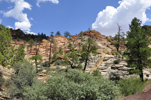 scenery at Zion National Park