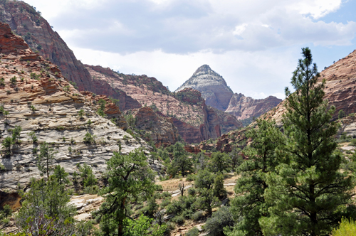 scenery at Zion National Park